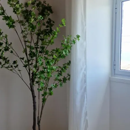 Pura Vida Dom wakacyjny *