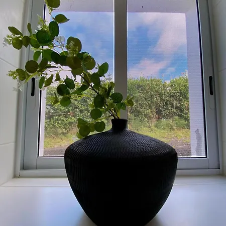 Pura Vida Dom wakacyjny