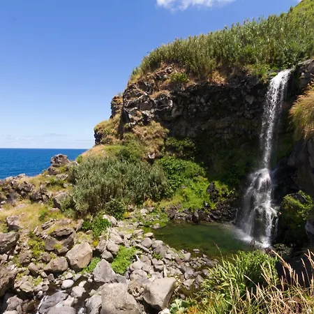 Pura Vida * Lomba da Maia