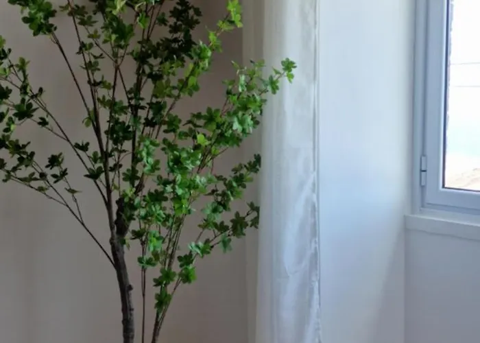 Pura Vida Holiday home *